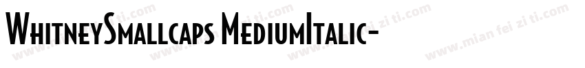WhitneySmallcaps MediumItalic字体转换